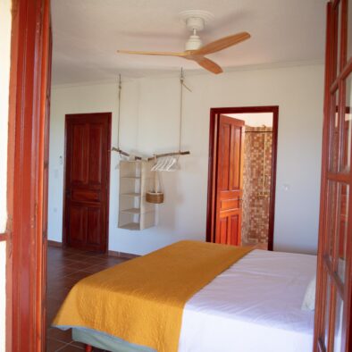 Ikaros suite