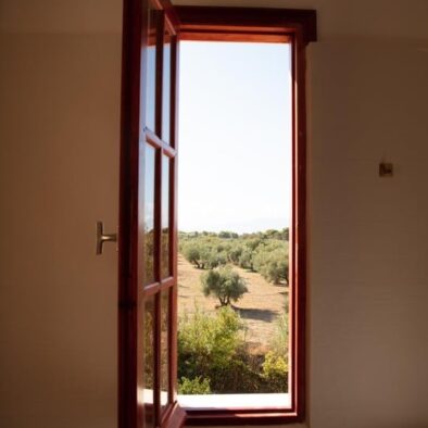 View in the nature