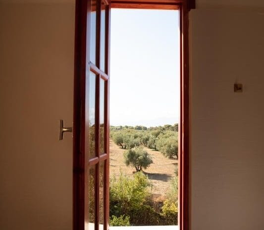 View in the nature